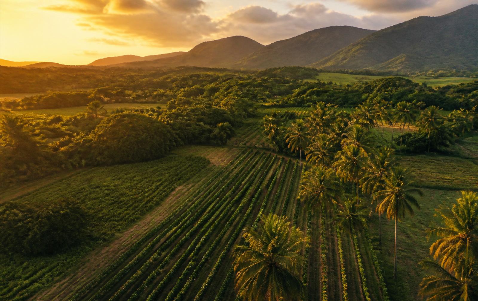 Finca puertorriqueña al atardecer